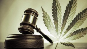 GreenWay-Rhode-Island-Marijuana-Regulation-Bill-on-Hold